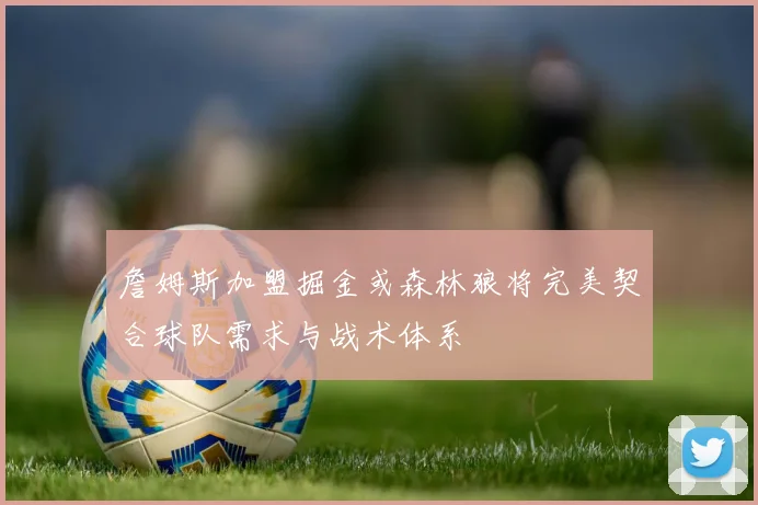 詹姆斯加盟掘金或森林狼将完美契合球队需求与战术体系